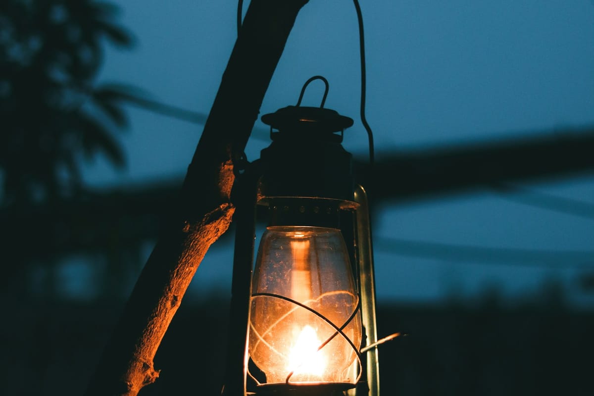 Lantern hanging from a tree branch at night